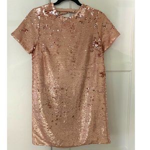 Vintage Dusty Pink Mini Sequence Dress